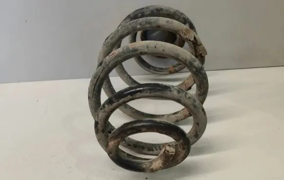 Volkswagen PASSAT B5 Rear coil spring