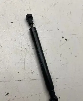 Tailgate strut