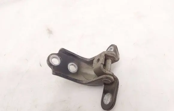 KIA Optima Front door lower hinge