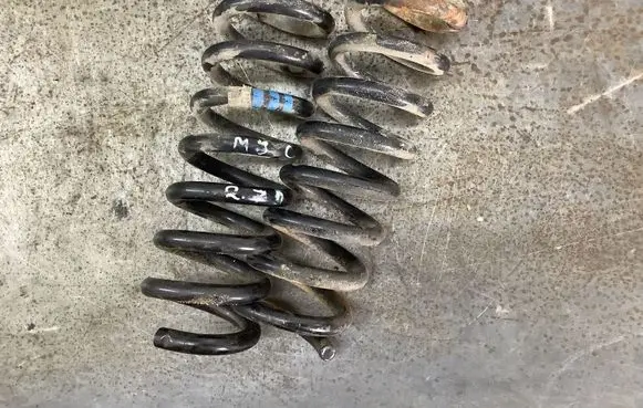Rear coil spring
