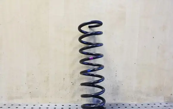 Ford Kuga II Rear coil spring