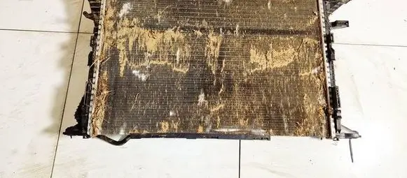 Audi Q3 8U Coolant radiator