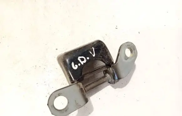 Rear door lower hinge