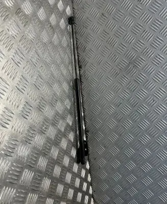 Tailgate strut