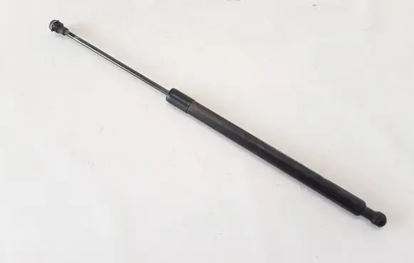 Tailgate strut