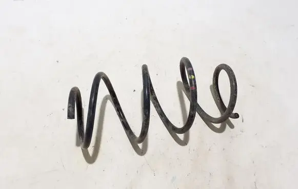Renault Megane E-Tech Front coil spring 540109342R