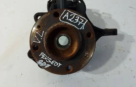 Peugeot 207 Front wheel hub spindle knuckle