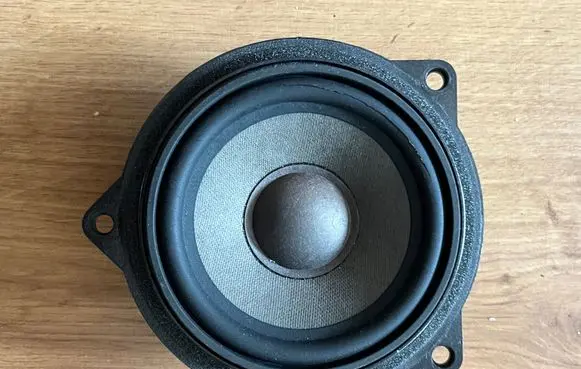 BMW 3 E92 E93 Front door speaker 6945411 65136945411