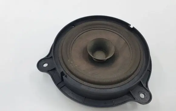 Nissan Qashqai Rear door speaker 7606500454