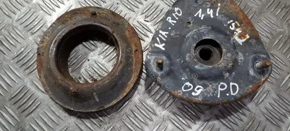Coil spring mount