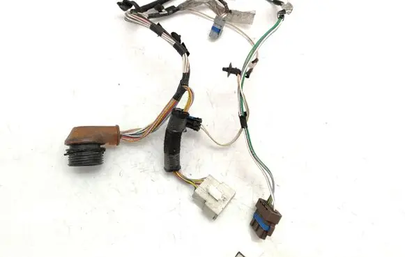 Front door wiring loom
