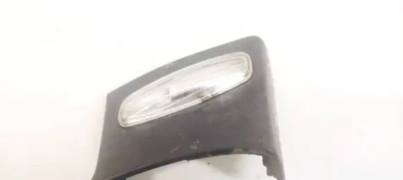 Peugeot 207 Mirror indicator light 96801950XT