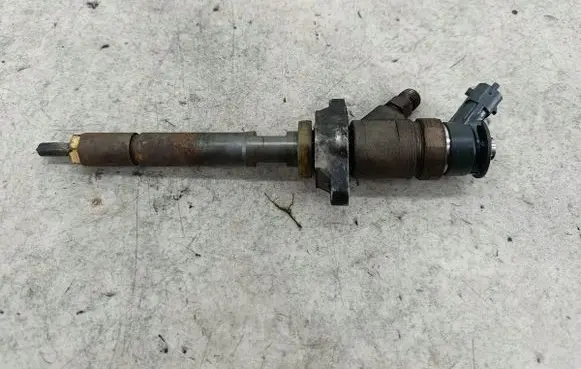 Citroen C3 Picasso Fuel injector 0445110311