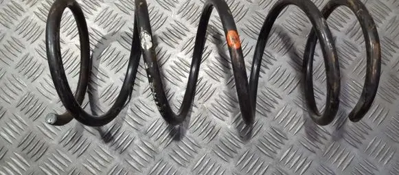 Front coil spring