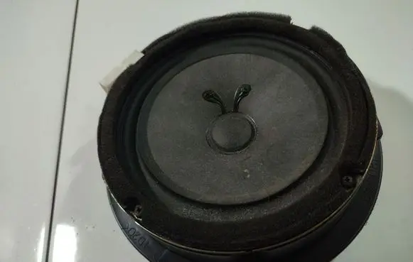 Front door speaker