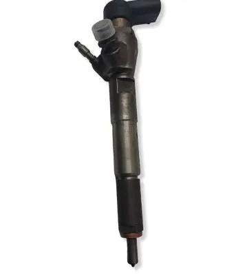 Nissan Qashqai Fuel injector H8201100113 165006212R