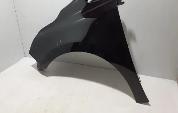 Renault Kangoo III Fender 631019140R