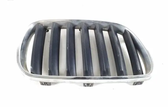 BMW X3 E83 Front grill 51113420088