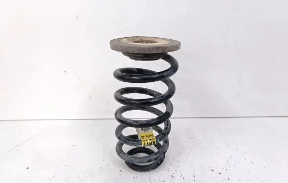 Buick Encore I Rear coil spring 95174968
