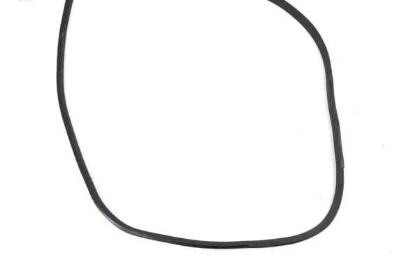 Mercedes-Benz R W251 Front door rubber seal A2516900076