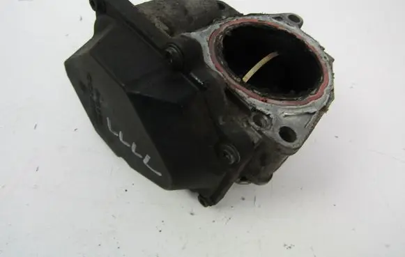 Volkswagen PASSAT B5.5 Electric throttle body valve 