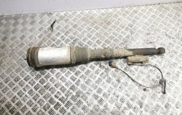 Mercedes-Benz S W220 Rear shock absorber/damper C086054O5
