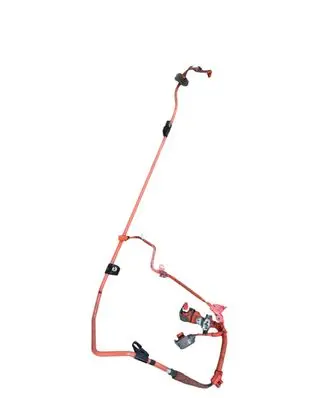 Toyota Prius (XW50) Wiring harness 