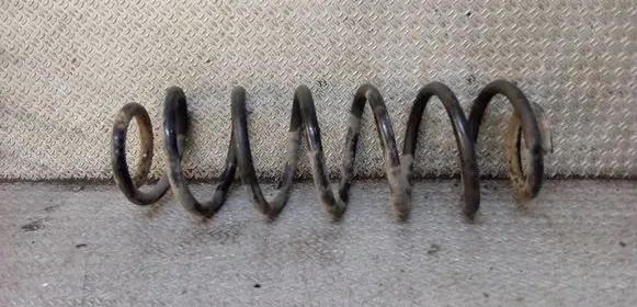 Volkswagen Jetta V Rear coil spring