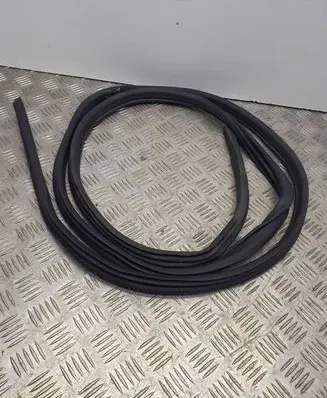 Nissan Qashqai Front door rubber seal