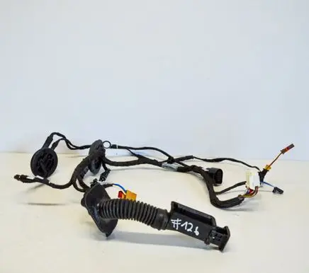 Other wiring loom