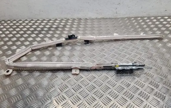 Seat Exeo (3R) Roof airbag 3R9880741