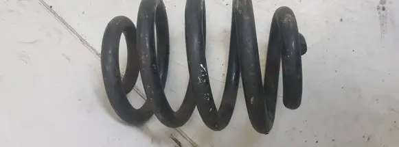 Rear coil spring