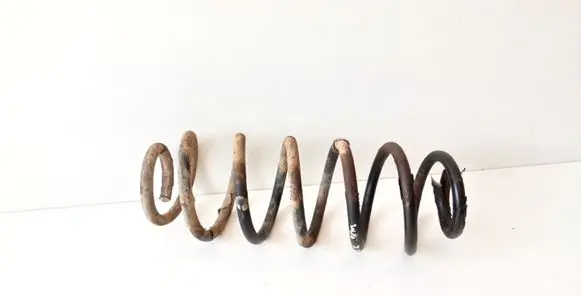 Audi A3 S3 8L Rear coil spring