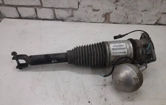 Volkswagen Phaeton Rear shock absorber/damper 3D0616002N 169ATE0276D38DZ
