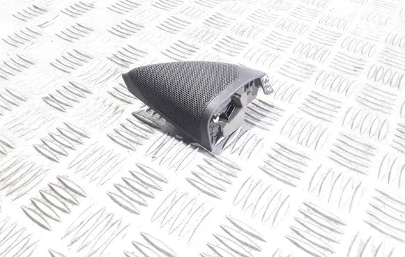 Opel Insignia A Front door high frequency speaker 13240950 434107863741