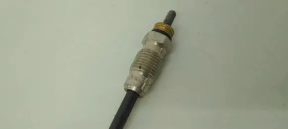 Renault Megane I Glow plug 0250202024 955