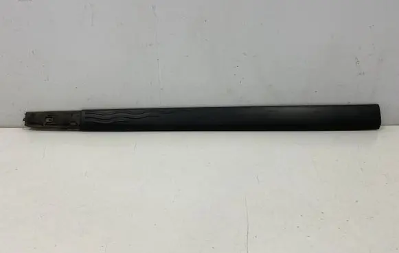 Renault Modus Front door trim (molding) 8200213738