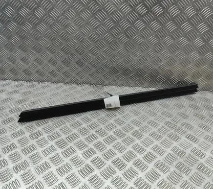 BMW X6 G06 Front door glass trim molding 7437777