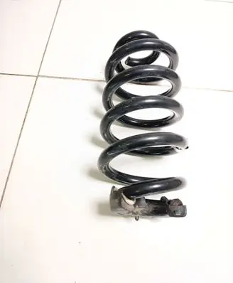 Skoda Enyaq iV Rear coil spring 1EA511103H