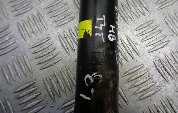 Renault Laguna III Rear shock absorber/damper