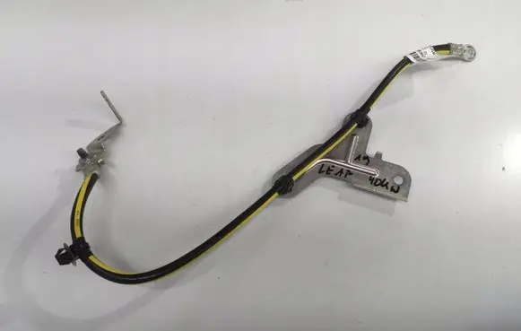 Nissan Leaf II (ZE1) Negative earth cable (battery) 283605SH0A