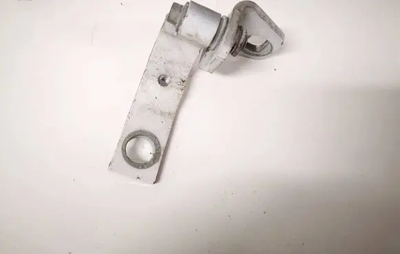 Ford C-MAX II Rear door lower hinge 