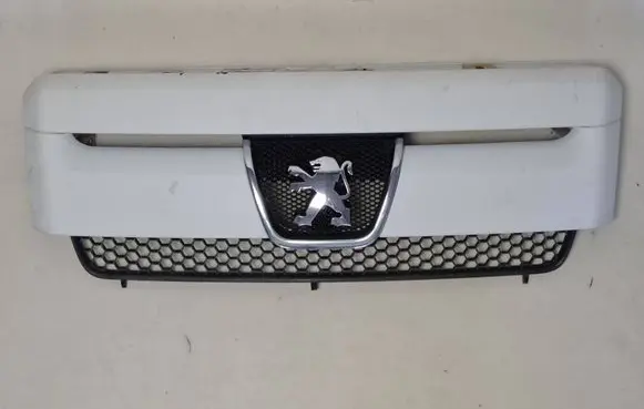 Peugeot Expert Front grill 1493130077 1493131977