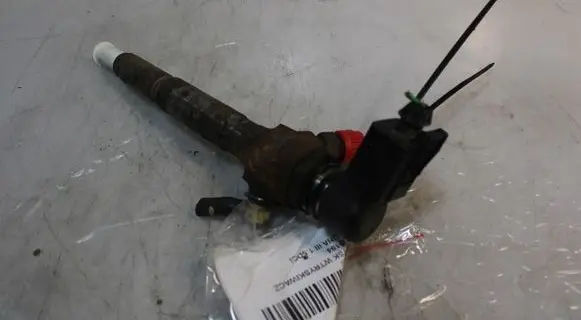 Renault Laguna III Fuel injector 8200294788