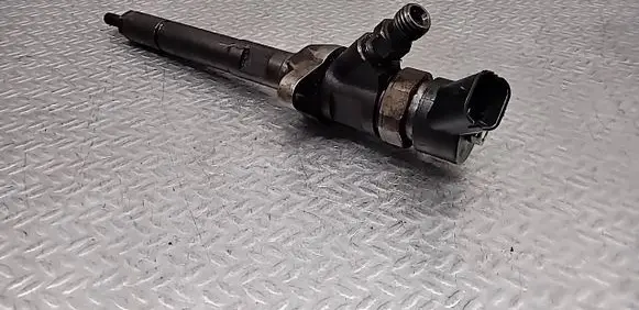 Volvo V50 Fuel injector 0445110259