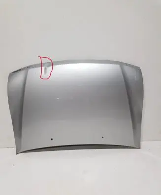 Engine bonnet/hood