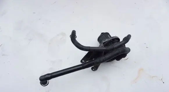 Audi A4 S4 B6 8E 8H Secondary air pump 