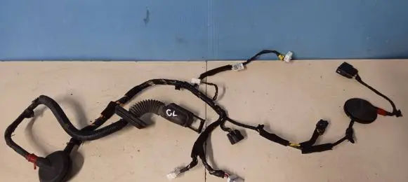 KIA Carens III Front door wiring loom 91600A4210