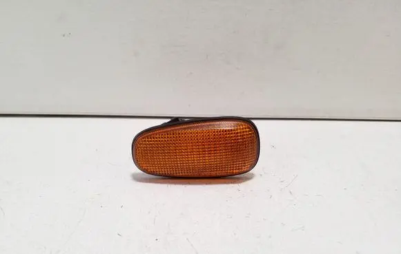 Front fender indicator light