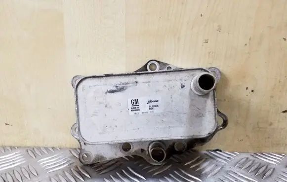 Opel Antara Oil filter mounting bracket 96868256